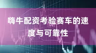 嗨牛配资考验赛车的速度与可靠性