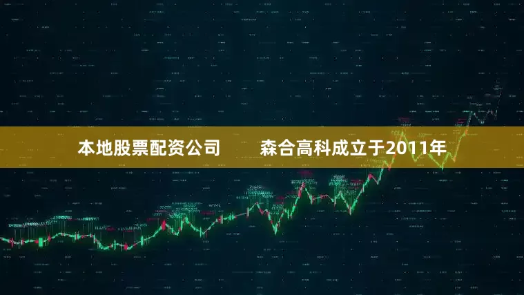 本地股票配资公司        森合高科成立于2011年