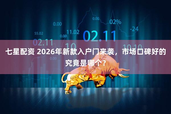 七星配资 2026年新款入户门来袭,市场口碑好的究竟是哪个?
